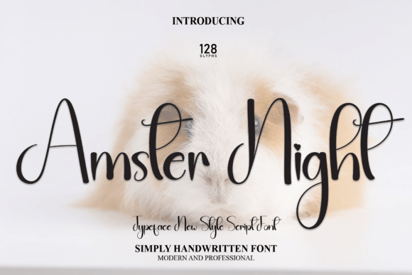 Amster Night Font Poster 1