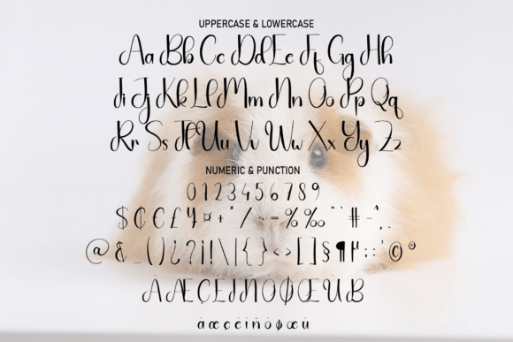 Amster Night Font Poster 7