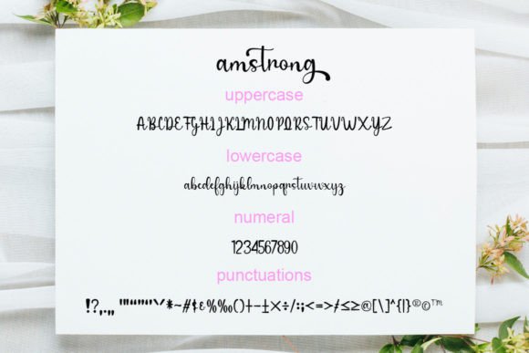 Amstrong Font Poster 6