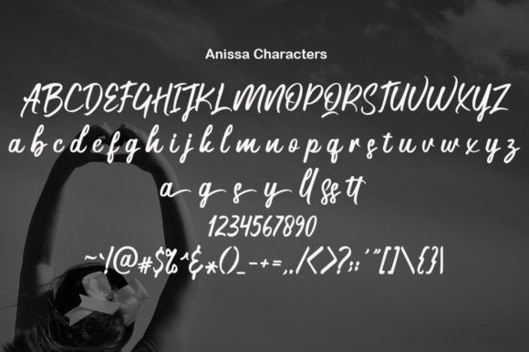 Anissa Font Poster 5