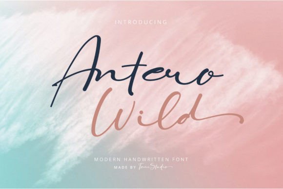 Antero Wild Font Poster 1