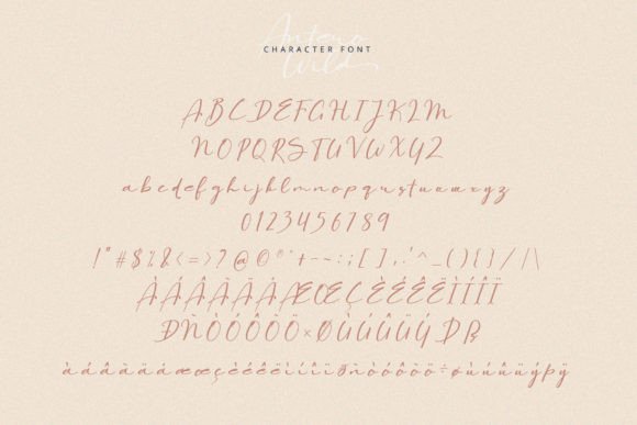 Antero Wild Font Poster 6