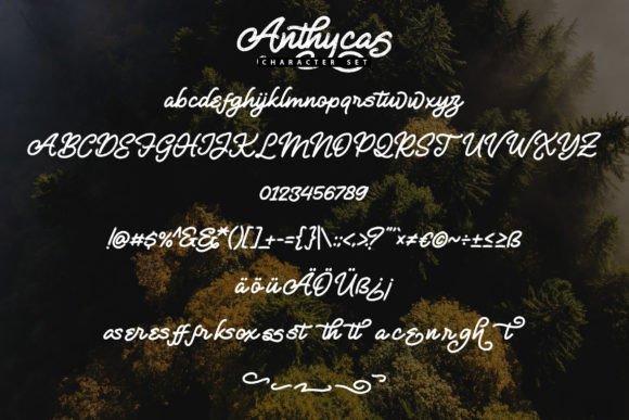 Anthycas Font Poster 5