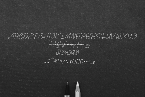 Antinkodan Font Poster 5