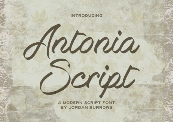Antonia Script Font Poster 1
