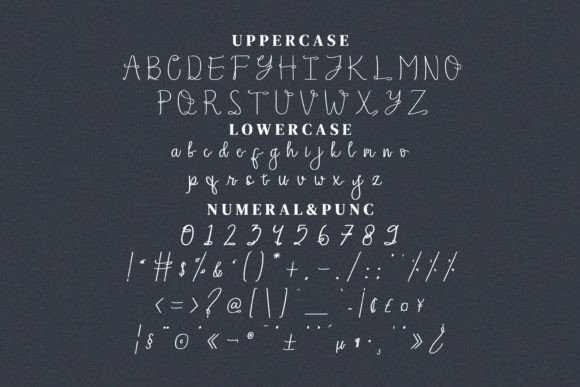 Apricitty Font Poster 11