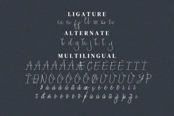 Apricitty Font Poster 12