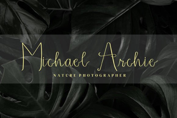 Apricitty Font Poster 8