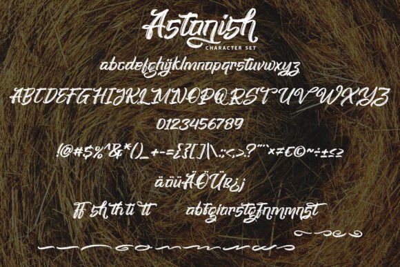 Astonish Font Poster 5