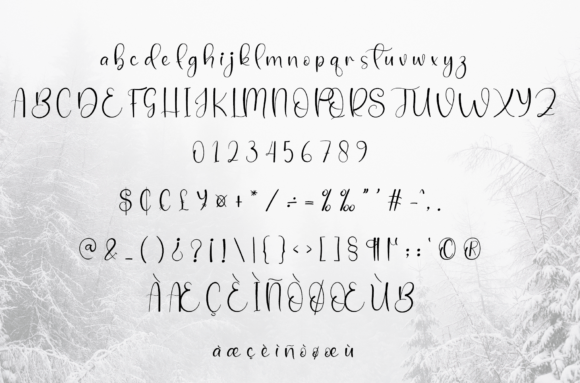 Bakery Christmas Font Poster 6