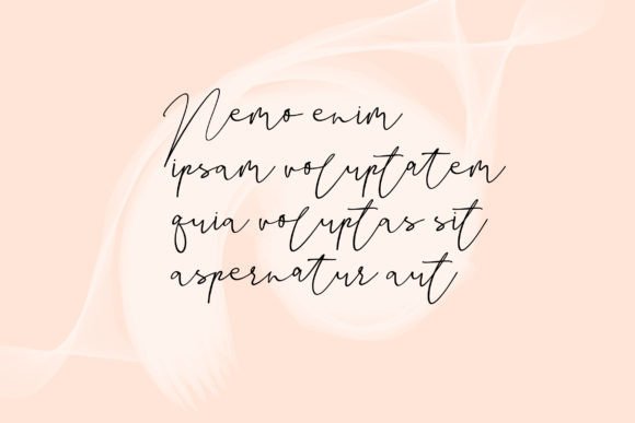 Baleza Font Poster 5