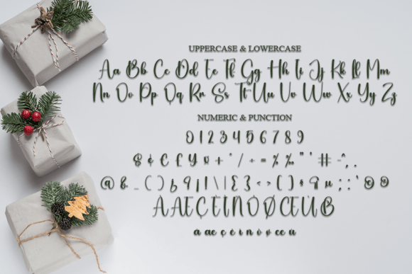 Ballerina Font Poster 7