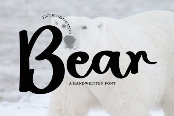 Bear Font Poster 1