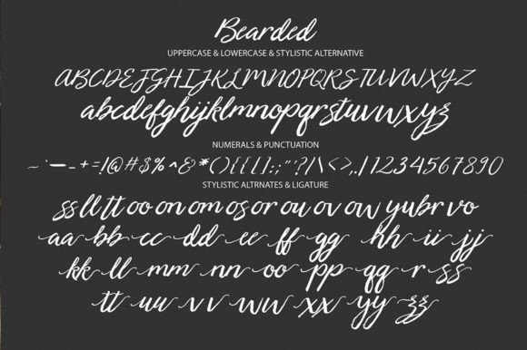 Bearded Font Poster 7