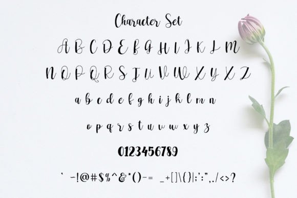 Beautiful Flower Font Poster 2