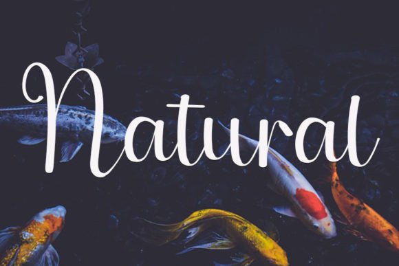 Beautiful Nature Font Poster 2