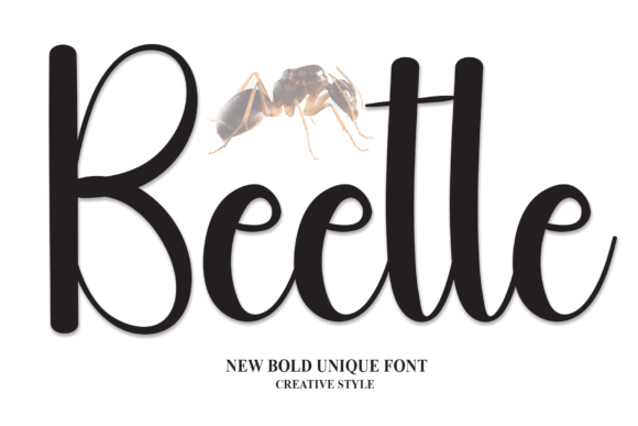Beetle Font Poster 1