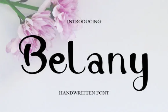 Belany Font Belany Font Poster 1