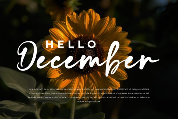 Belliones Font Poster 4