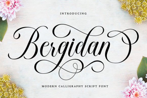 Bergidan Font Poster 8