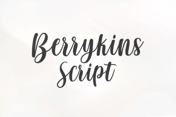 Berrykins Script Font Poster 1