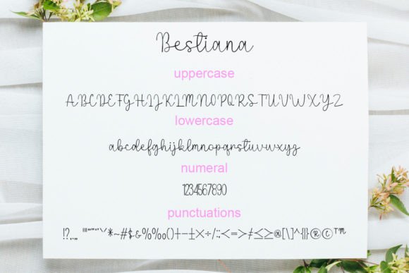 Bestiana Font Poster 6