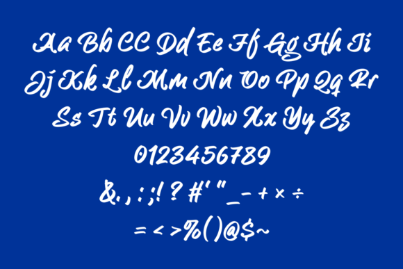 Bhangs Font Poster 4