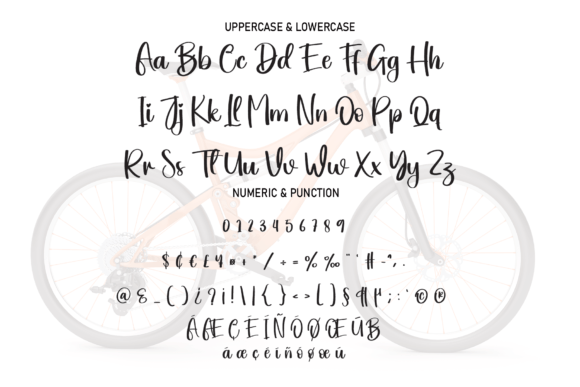 Bicycle Font Poster 7