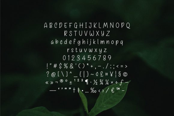 Binahong Font Poster 4