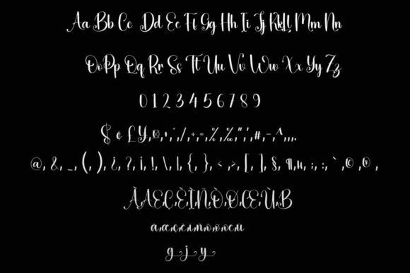 Bingo Font Poster 5