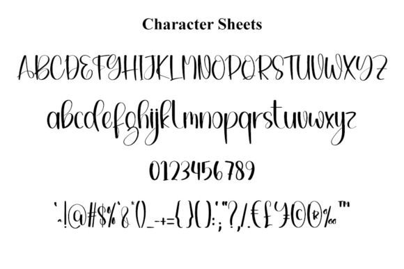 Bingo Signature Font Poster 5