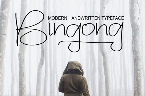 Bingong Font Poster 1