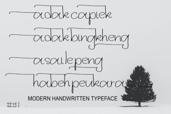 Bingong Font Poster 2