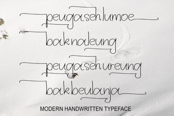 Bingong Font Poster 3