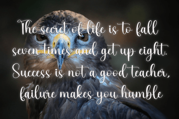 Bird Font Poster 5