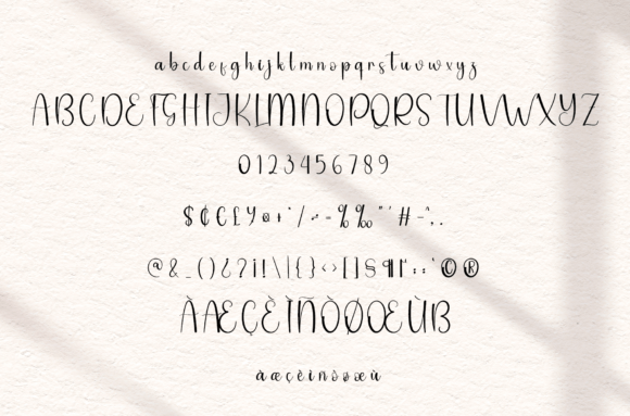 Bitter Font Poster 6