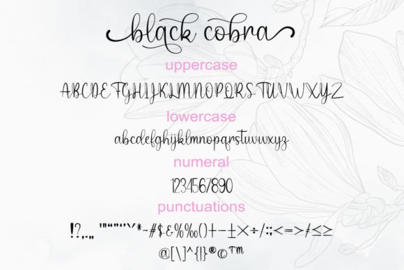 Black Cobra Font Poster 6