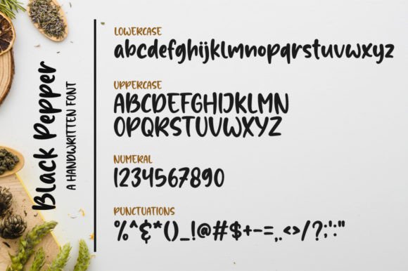 Black Pepper Font Poster 7