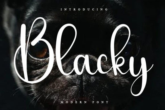 Blacky Font Poster 1