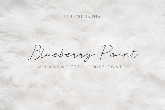 Blueberry Point Font Poster 1