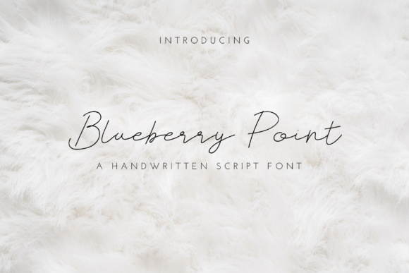Blueberry Point Font Blueberry Point Font Poster 1