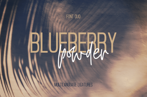 Blueberry Powder Duo Font Poster 1