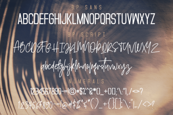 Blueberry Powder Duo Font Poster 4