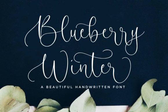 Blueberry Winter Font Poster 1