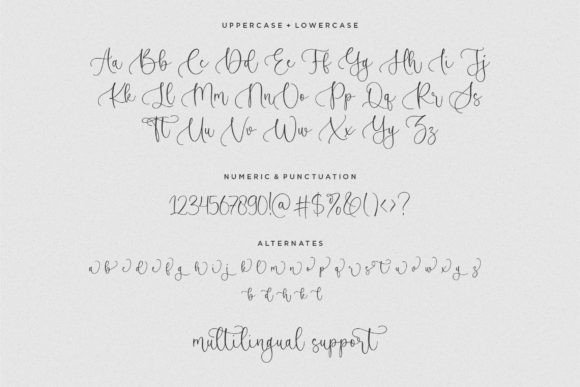 Blueberry Winter Font Poster 6