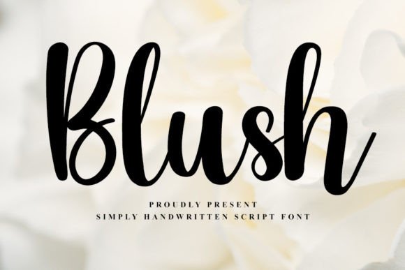 Blush Font Poster 1