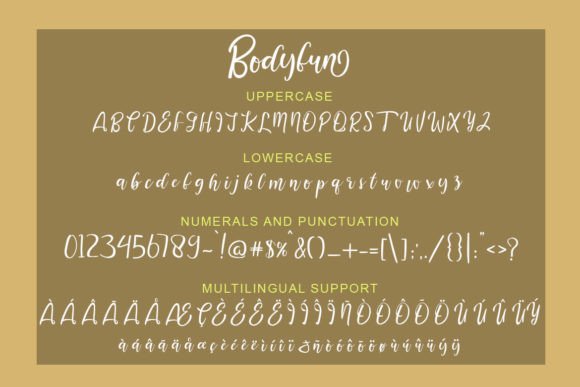 Bodyfun Font Poster 5