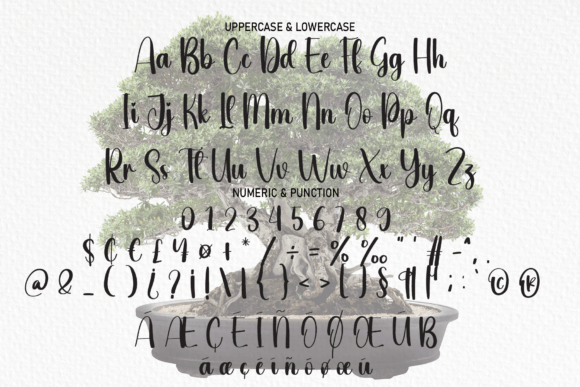 Bonsai Font Poster 6