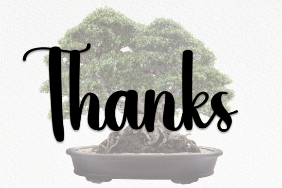 Bonsai Font Poster 7