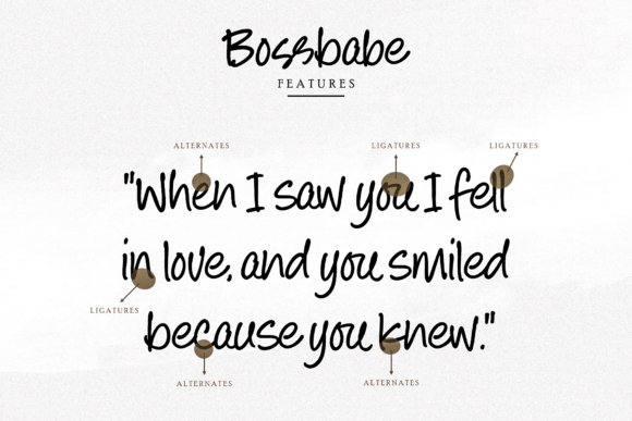 Bossbabe Font Poster 6